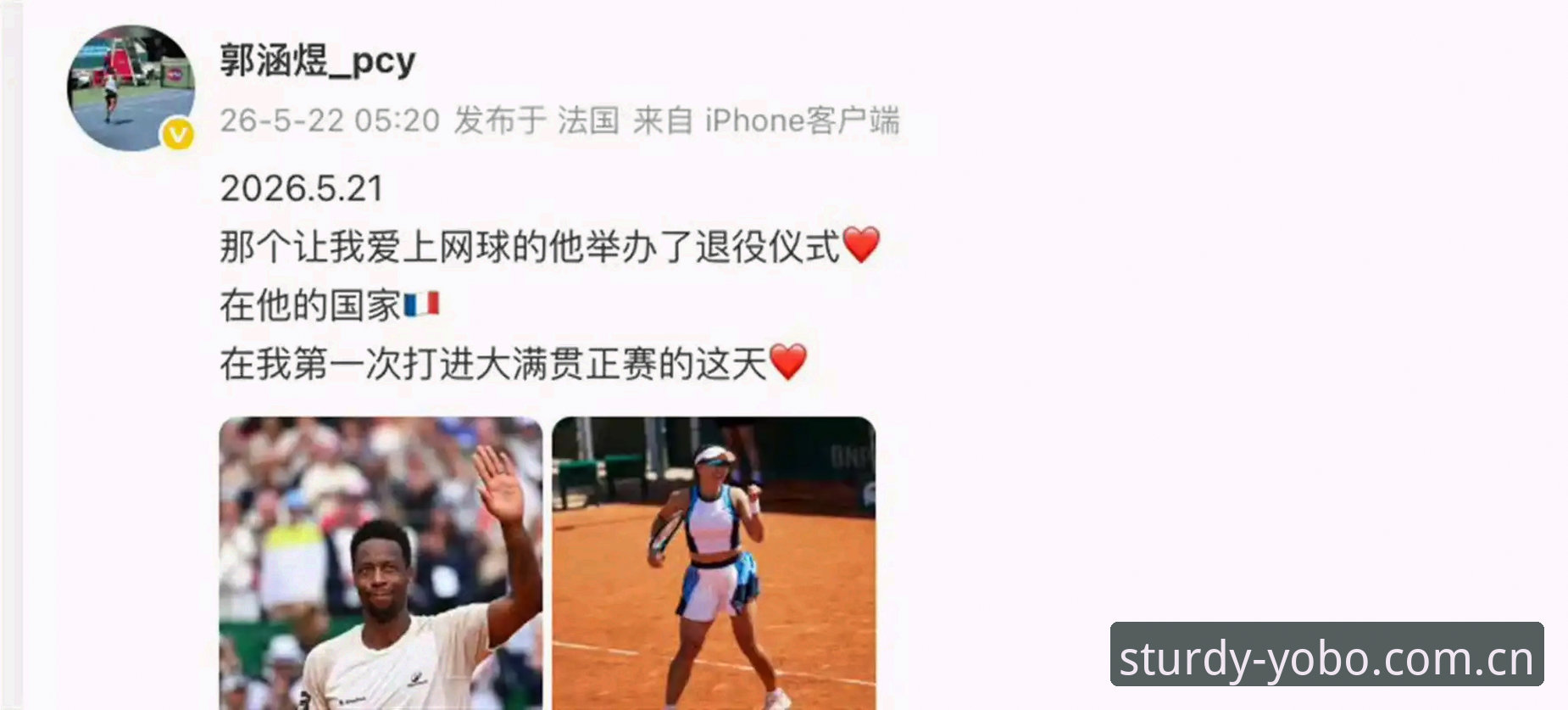 2026法网女单抽签解读与yobo赛事查询教程：郑钦文保分战，王欣瑜领衔中国军团